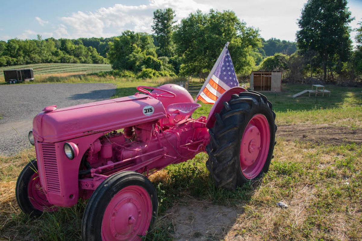 Local 315's pink tractor